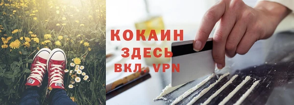 стаф Елизово