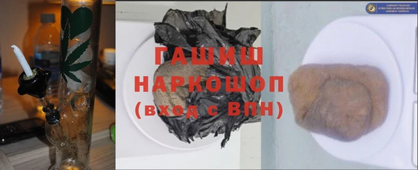 стаф Елизово