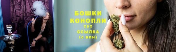 эйфоретик Ельня