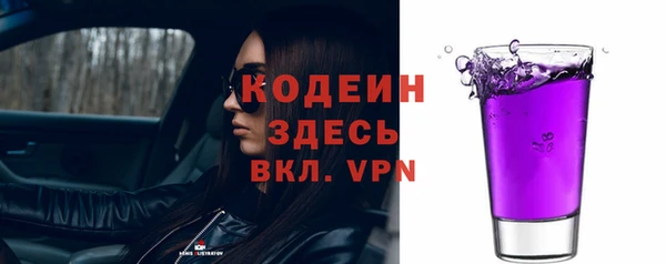 стаф Елизово