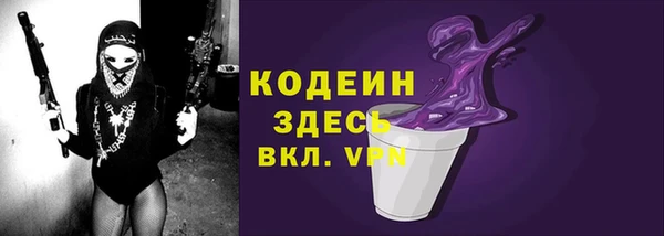 стаф Елизово