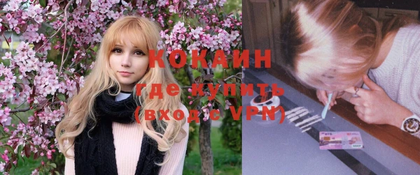 эйфоретик Ельня
