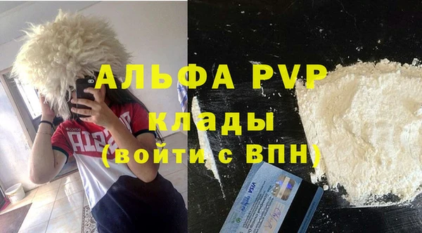 МДПВ Елабуга