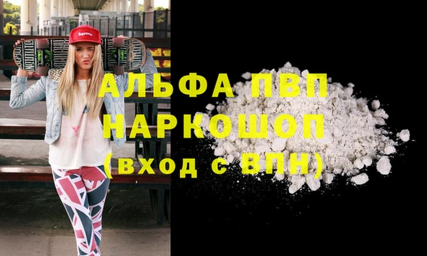 стаф Елизово