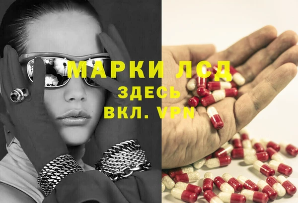 эйфоретик Ельня
