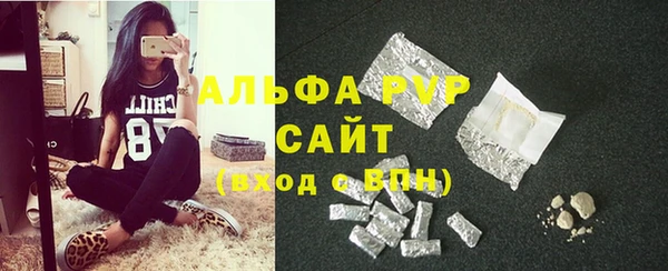эйфоретик Ельня