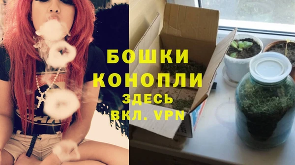 МДПВ Елабуга