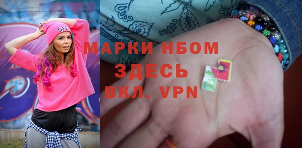 стаф Елизово