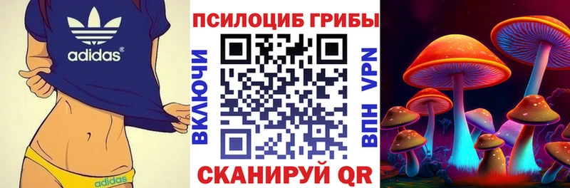 Псилоцибиновые грибы ЛСД  купить наркотик  Зеленогорск 